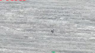 Russian scum dying in agony.