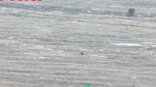 Russian scum dying in agony.
