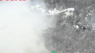 Russian scum dying in agony.