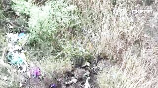 Dead Russians by 425th Regiment SKELYA. #11