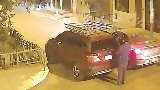Retired Cop Fatally Shot After Exchanging Fire with Carjackers in Peru