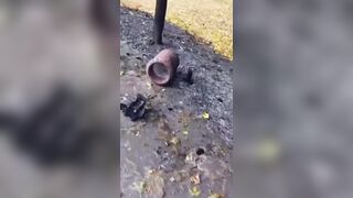 Civilians killed by failed Ukrainian air defense.