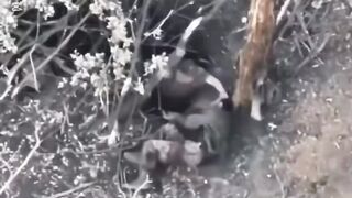 WOUNDED UKRANIAN SOLDIER LEFT TO DIE BY HYENA BOSS