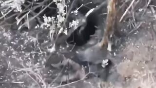 WOUNDED UKRANIAN SOLDIER LEFT TO DIE BY HYENA BOSS