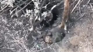 WOUNDED UKRANIAN SOLDIER LEFT TO DIE BY HYENA BOSS