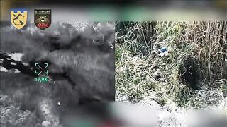 Dead Russians by 113th Brigade.