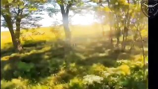 COMPILATION OF KILLED UKRAINIANS IN KRAMATOSRSK