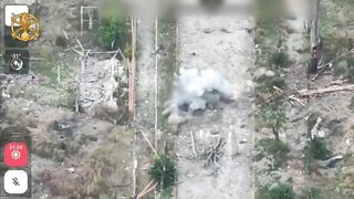 Dead Russians by 41st Brigade. #4
