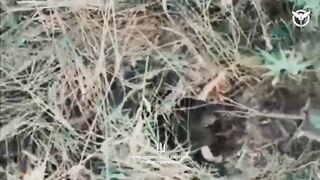 Ukrainian intelligence officers, supported by drones, neutralised two groups of ruzky