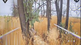 Dead Russians by Perun. #5