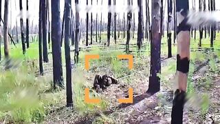 Dead Russians by 63rd Brigade. #9