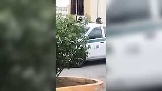 Man Jumps from 3rd Floor to Escape Secret Lover's Husband in Cancun, MX