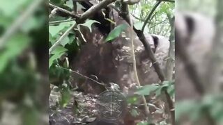Azov recon cleared forest, and captured at least three katsaps in Donetsk region