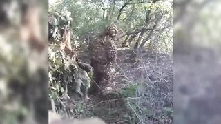 Azov recon cleared forest, and captured at least three katsaps in Donetsk region