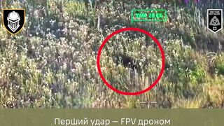 Dead Russians by 3rd Mechanized Brigade. #2