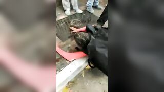 Fake Delivery Man Caught Robbing People
