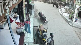 80-Year-Old Man Dies Following Bull Attack In India