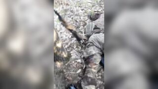 VIVALDI DOUGH OUT OF FOXHOLES AND SURRENDERED