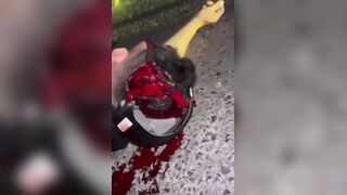 Helmets Save Lives! Wait A Minute ...