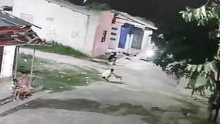 Man Playing With Dog Gets Gunned Down By Sicario In Colombia