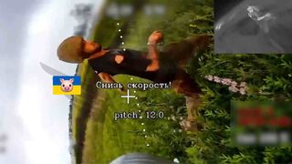 Run bitch, ruuuuun