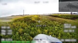 Run bitch, ruuuuun