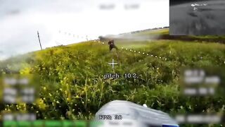 Run bitch, ruuuuun