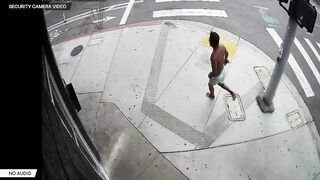 Man Trying To Set Police Dog On Fire Shot And Killed By San Diego Cops
