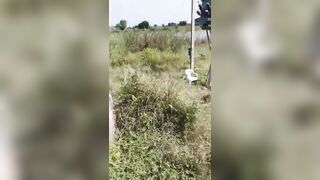 Farmer Who Was Forced To Climb On A Pole Electrocuted And Killed