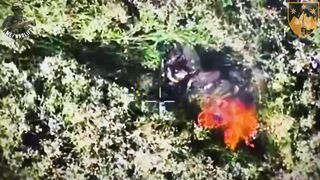 UKRAINE DEATH COMP CLXXVI