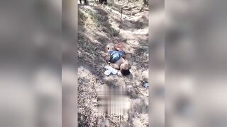 Brutal Classics 3 (Compilation)