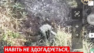 A sad short story about a Russian piglet.