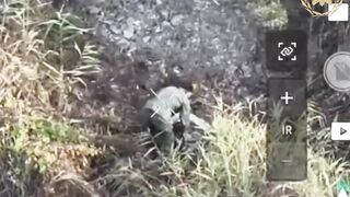 A sad short story about a Russian piglet.