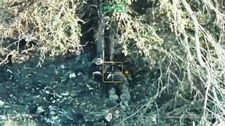 Dozens of dead Russians near Dobropillya.