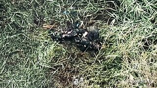 Dozens of dead Russians near Dobropillya.