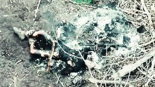 Dozens of dead Russians near Dobropillya.