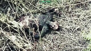 Dozens of dead Russians near Dobropillya.