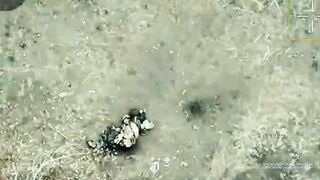 Dozens of dead Russians near Dobropillya.