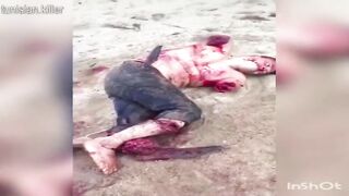 Death 'n' shit compilation 18