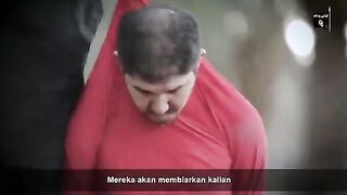 Bloody Zone (Compilation)