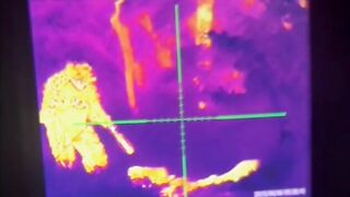 Night ambush with thermals.