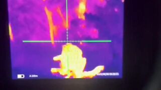 Night ambush with thermals.