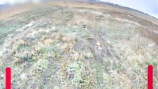 Hide-and-seek with a Ukrainian drone.