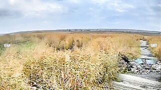 Hide-and-seek with a Ukrainian drone.