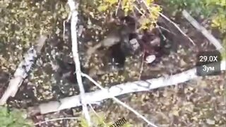TARAS SOLDIER TRIES TO KICK AWAY DRONE