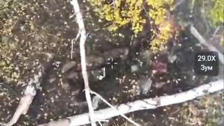 TARAS SOLDIER TRIES TO KICK AWAY DRONE
