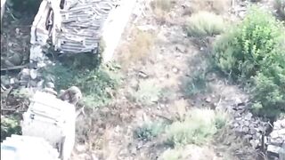 ONE UKRAINIAN REACHED FOR GUN THEN ALL ARE EXECUTED