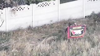 1479 UKRANIANS SOLDIERS DEAD IN DOBROPOLYA LIBERATION