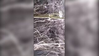 SCREAMING IN HORROR AFTER BEING HIT WITH ARTILLERY