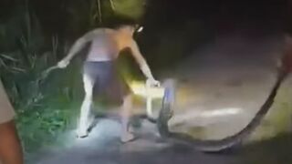 Man Bleeding After Being Bitten By Python in Thailand